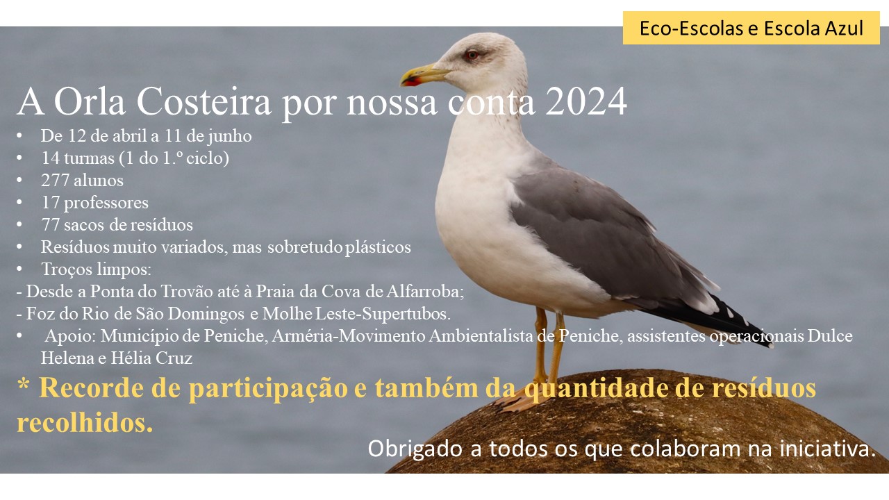 Sint OCPNC 202